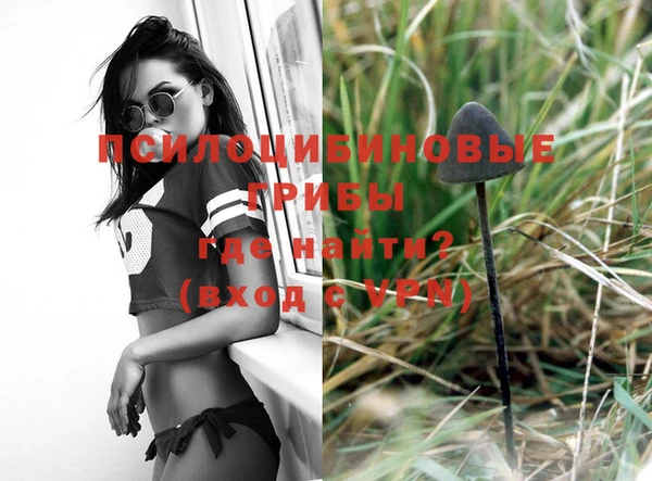 меф Бородино