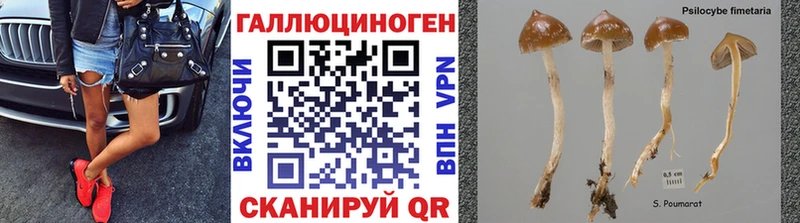 Галлюциногенные грибы GOLDEN TEACHER  цена наркотик  Копейск 